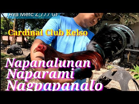 EP479: Napanalonan, Naparami at Nagpapanalo Cardinal Club Kelso