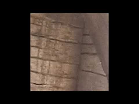 85. biocide - nothing feels the same as before [30.11.2019]