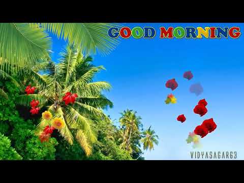 Akhilesh Raj  m. 8830083368