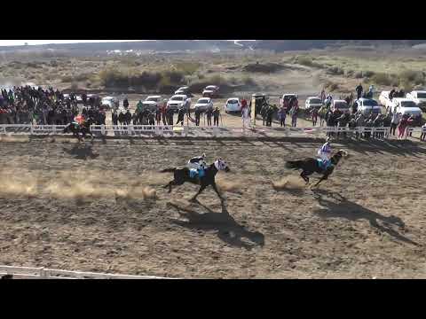 NEGRITO  Club Hípico Añelo - Añelo - 16-07-2023
