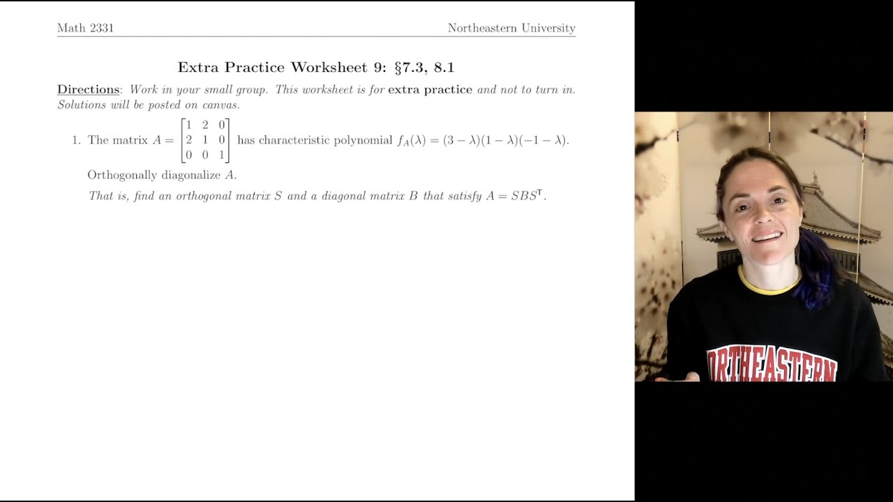 Linear Algebra: Extra Practice Worksheet 9