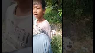 Download lagu BOCAH LAGI GELUT .. mp3 Download lagu BOCAH LAGI GELUT .. mp3