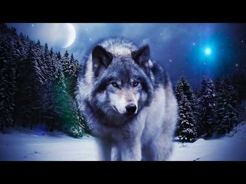 Apostolul Lupilor, Sfantul Apostol Andrei Ocrotitorul Românilor