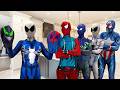 Spider Man Into The Spider Verse 2026 Avengers Doomsday Captain American Deadpool 3