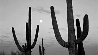 Gunman And The Holy Ghost - Now It's Too Late