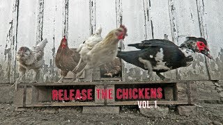 RELEASE THE CHICKENS! Homestead Compilation