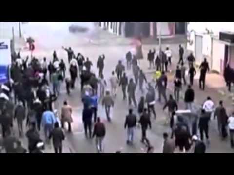 RHIPS - Shock and Awe (Video)