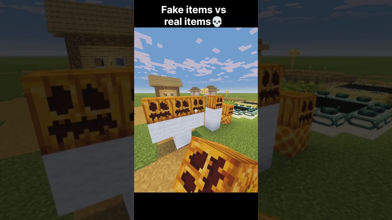 Minecraft: Real vs Fake 💀