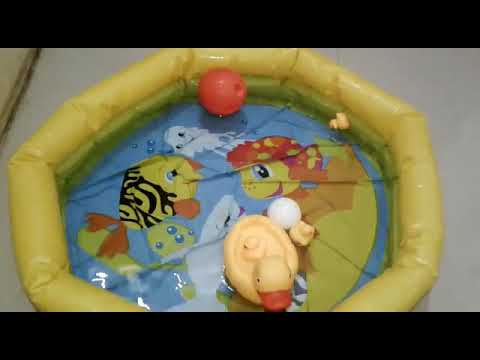 Rubber ducks  swimming in pool