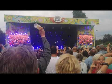 Alphaville at Budapest Park Sept 2019