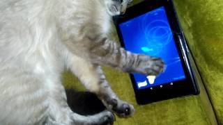 Angry Rob vs. lazy mochaccino latte