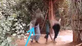 Download lagu Kabza DA small ft Nokwazi vula vala dance❤💯 mp3