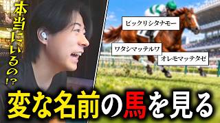 変な名前の馬名に爆笑する配信者【Twitch 雑談 切り抜き】