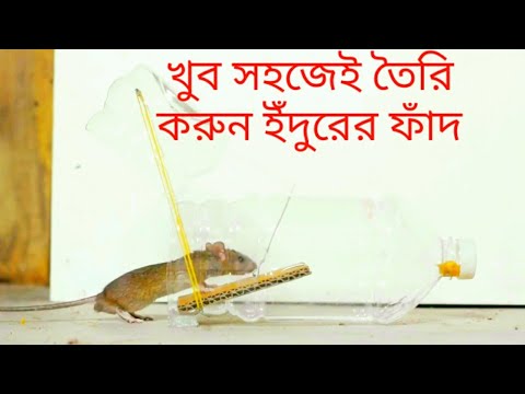 ইঁদুর ধরার ফাঁদ | ইঁদুর ধরার কল এর দাম | ইঁদুর মারার ফাঁদ তৈরি