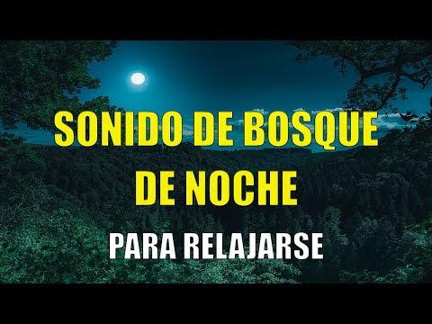 1 HORA SONIDOS del BOSQUE NOCTURNO CORTOS para (DORMIR o RELAJARSE) 😴🦉🌕