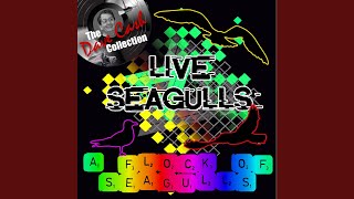 [It&#39;s Not Me] Talking (Live)