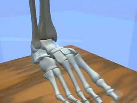 Rückenschmerzen Lendenwirbelsäule Behandlung Drogen Anatomie des Kiefergelenks