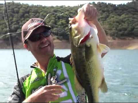 Molix Tenax Jig + Caleo Craw