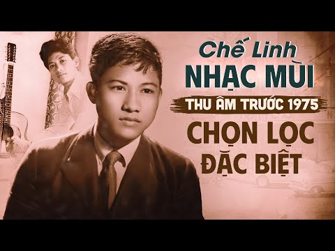 Chế Linh Thu Âm Trước 1975 - Những Tuyệt Phẩm Nhạc Mùi Chọn Lọc Đặc Biệt Nguyên Bản Âm Thanh Gốc