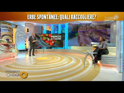 Vediamoci Chiaro, 15 marzo 2021 - Le primizie di stagione