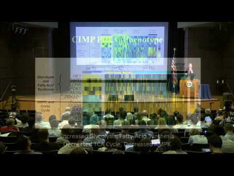 Comprehensive Molecular Characterization of Papillary Renal Cell Carcinoma - W. Marston Linehan