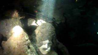 preview picture of video 'Crayfish in a cave'