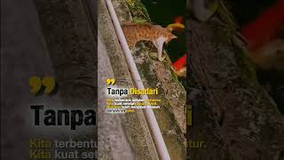 Download lagu 6 November 2025 mp3 Download lagu 6 November 2025 mp3