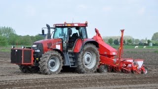 preview picture of video 'Luc Willems - Case IH cvx 1170 - Accord Optima - mais zaaien'