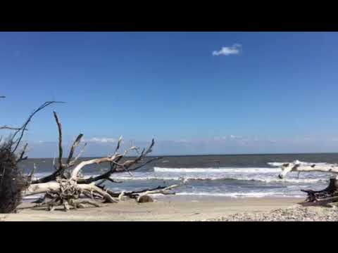 Botany Bay plantation preserve