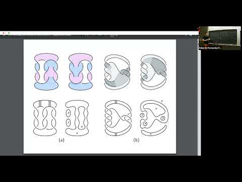 Kyle Hayden "Lecture3: Link homologies and knotted surfaces"