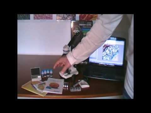 Микроскоп Levenhuk Rainbow D2L, 0,3 Мпикс, Moonstone\Лунный камень