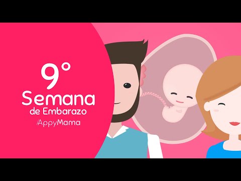 Semana 9 de #Embarazo | Más vale prevenir que curar!