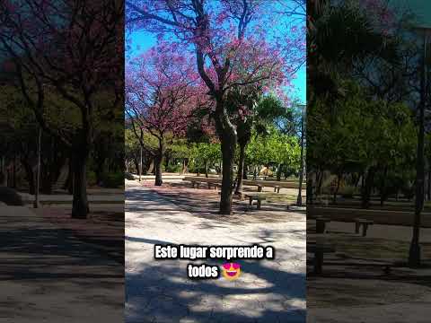 📍 Plaza España en Resistencia: un lugar que enamora ✨