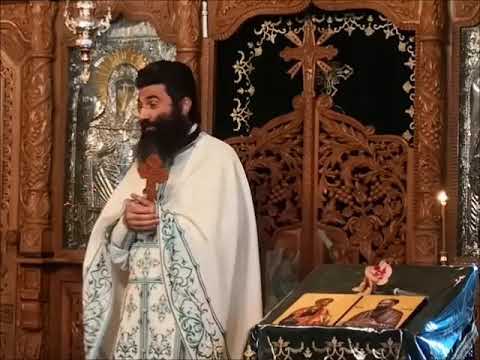 DRAGOSTEA NU CADE NICIODATA - NICOLAE BALASOIU