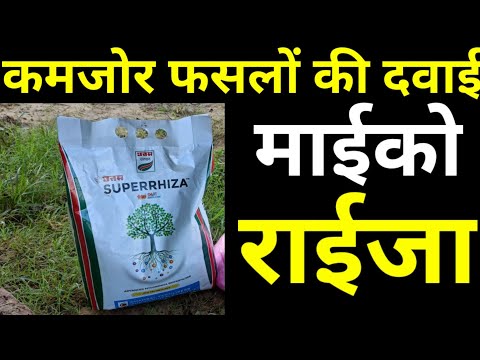 Powder nitrogen bio fertilizer, packaging type: bottle, 500m...