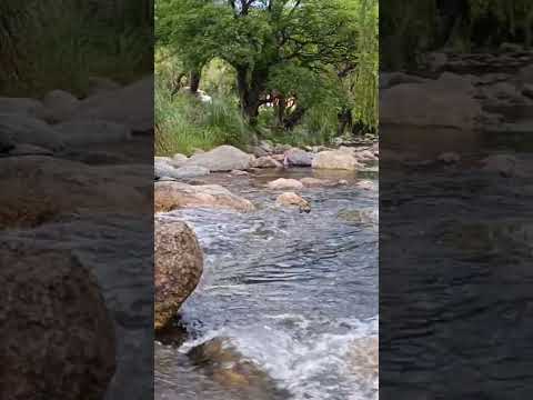 arroyo benitez. cortaderas San Luis.#argentina #sanluis #arroyos #provincias