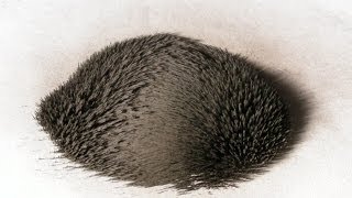 Dancing iron particles