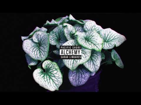 Pacific Shore - Alchemy (feat. Sarah Linhares)