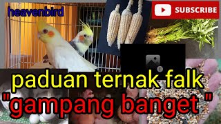 Download lagu cara mudah ternak parkit australia/falk mp3