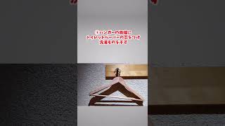 トイレットペーパーの芯、そのまま捨てるのはもったいない！まさかの活用術