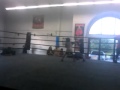 JOEYS FIRST KNOCKDOWN BODYSHOT