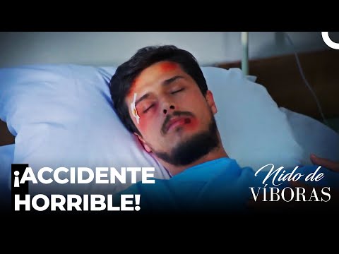 ¡Nagme Chocó A Ejder!  - Nido De Víboras