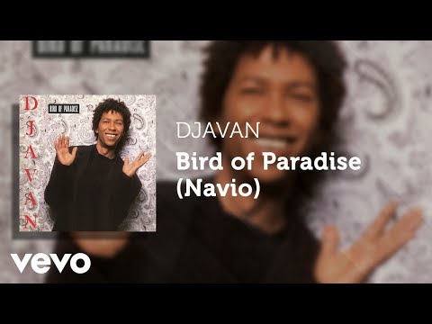 Djavan - Bird of Paradise (Navio) (Áudio Oficial)
