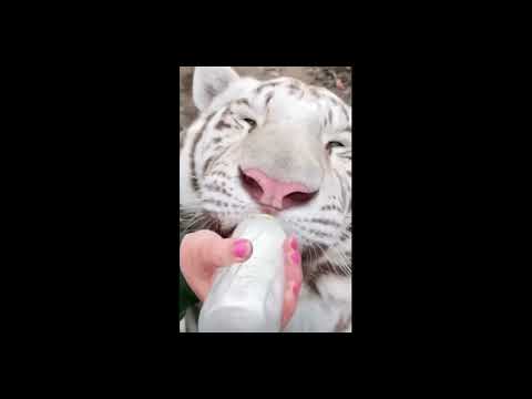 ☺️cutest of the yere 2023🥰