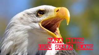 Download lagu Nada dering lucu : suara elang Indonesia mp3
