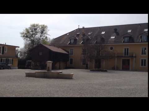 スイス寄宿学校ル・ロゼ校の女子寮エリア【スイス留学.com】