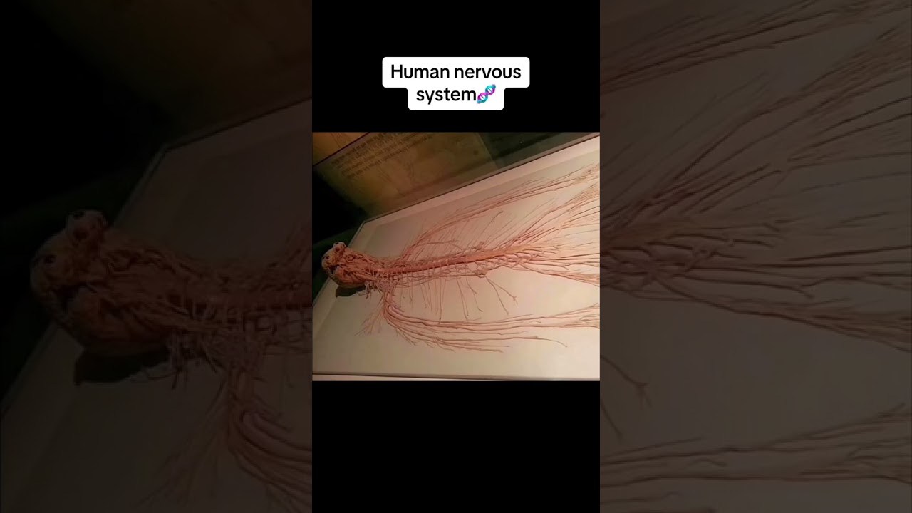 Photos You Need To See Before You Die