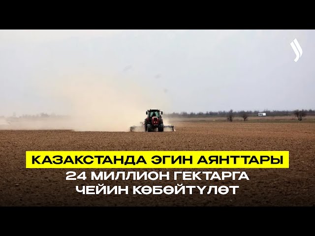 Казакстанда эгин аянттары 24 миллион гектарга чейин көбөйтүлөт