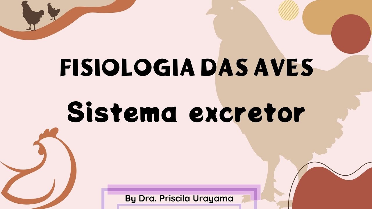 Sistema Excretor das Aves (ácido úrico) - Fisiologia Veterinária
