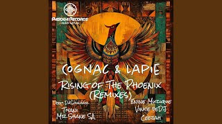 Download lagu Rise of The Phoenix (8nine Muzique Remix) mp3 Download lagu Rise of The Phoenix (8nine Muzique Remix) mp3
